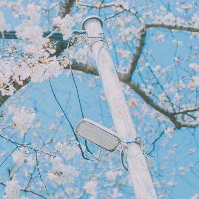 超能汉化组app官方(暂未上线)v1.1.0 安卓版