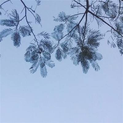 了不起的飞剑处妖传手游(暂未上线)v1.4.9 安卓版